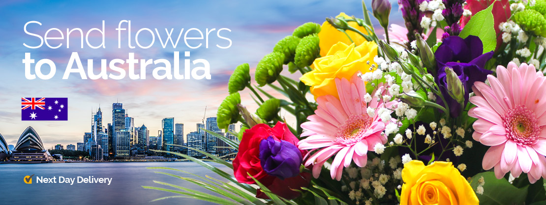 Sending Flowers Overseas To Australia / Send flowers overseas from NZ